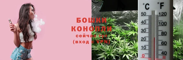 PSILOCYBIN Абаза