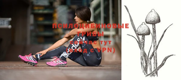 PSILOCYBIN Абаза