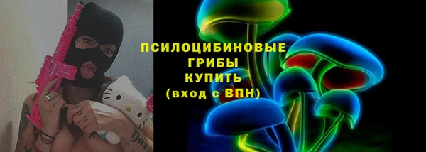 дживик Абинск
