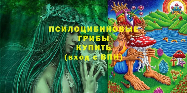 PSILOCYBIN Абаза
