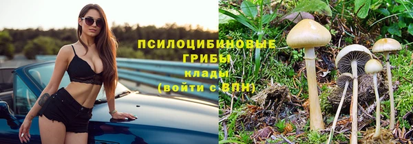 дживик Абинск