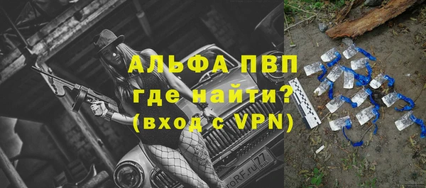 дживик Абинск
