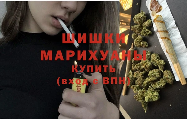 PSILOCYBIN Абаза