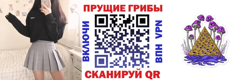 где купить наркоту ссылка на мегу зеркало Псилоцибиновые грибы мухоморы Александровск